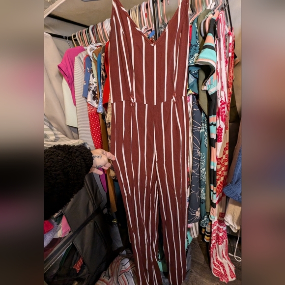 Forever 21 Pants - Forever 21 Brown and White Striped Jumpsuit